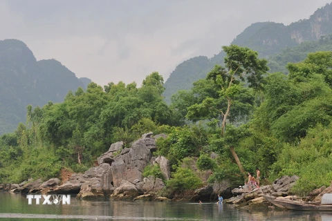 Phong cảnh Vườn quốc gia Phong Nha-Kẻ Bàng bên dòng sông Chày. (Ảnh: Thanh Hà/TTXVN)