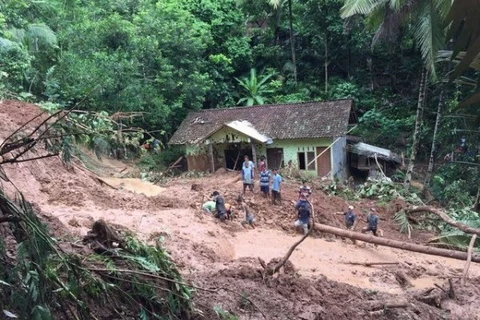 Sạt lở đất Penungkulan. (Nguồn: BNPB)