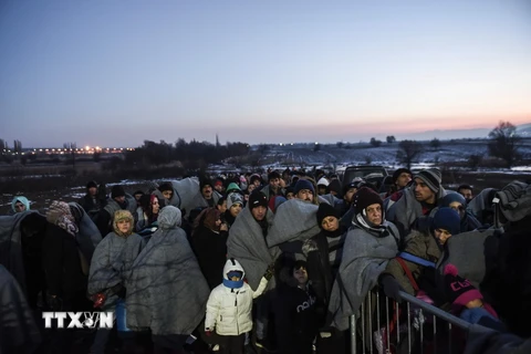 Người di cư đợi để vào trại tị nạn sau khi vượt qua biên giới Macedonia tới Serbia ngày 23/1 vừa qua. (Ảnh: AFP/TTXVN)