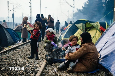 Người di cư sống tại lều tạm gần làng Idomeni ở biên giới Hy Lạp-Macedonia ngày 8/3. (Ảnh: AFP/TTXVN)