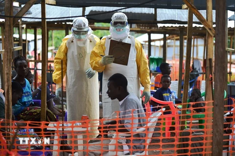 Nhân viên y tế chăm sóc bệnh nhân nhiễm Ebola. (Ảnh: AFP/TTXVN)