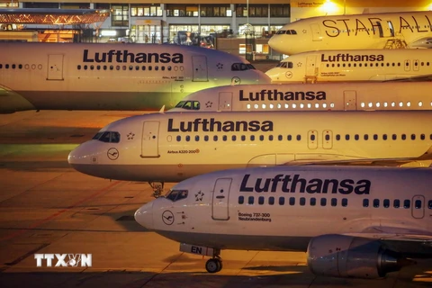 Hãng hàng không Lufthansa tại sân bay Frankfurt am Main, miền tây Đức. (Ảnh: AFP/TTXVN)