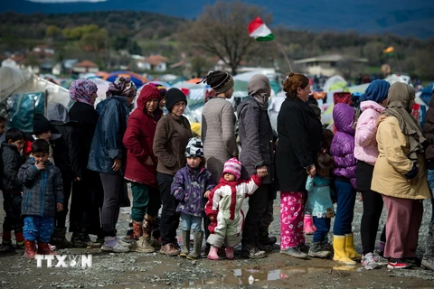 Người di cư xếp hàng nhận thức ăn tại trại tị nạn Idomeni ở biên giới Hy Lạp-Macedonia ngày 24/3 vừa qua. (Ảnh: AFP/TTXVN)