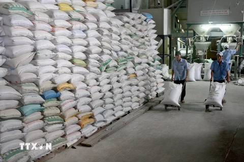 Vận chuyển gạo vào kho chuẩn bị cho xuất khẩu tại Công ty Lương thực Long An. (Ảnh: Đình Huệ/TTXVN)