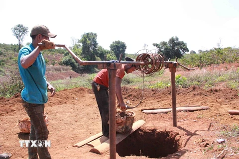 Người dân Đắk Lắk đào giếng để tìm kiếm nguồn nước tưới cho cây trồng. (Ảnh: Phạm Cường/TTXVN)