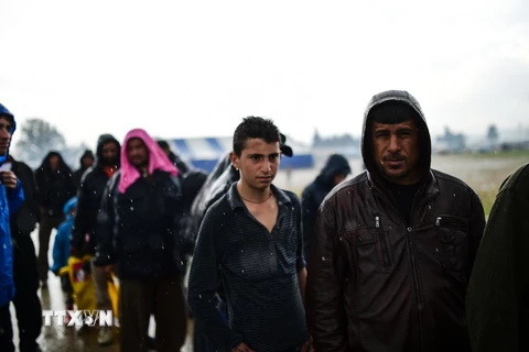Người di cư xếp hàng nhận lương thực tại trại tị nạn ở phía bắc làng Idomeni, Hy Lạp ngày 9/4 vừa qua. (Ảnh: AFP/TTXVN)