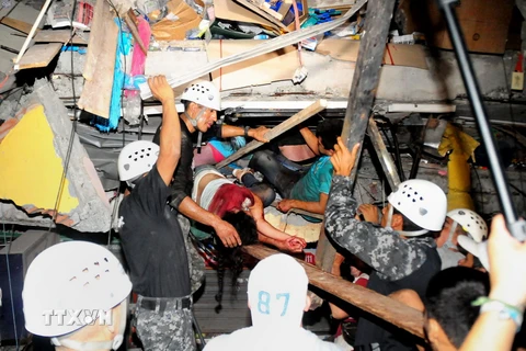Lực lượng cứu hộ giải cứu người còn sống bị mắc kẹt trong một căn nhà đổ nát sau trận động đất ở Manta. (Ảnh: AFP/TTXVN)