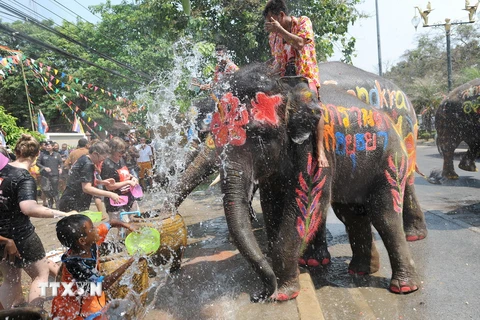 Những chú voi phun nước vào khách du lịch trong sự kiện được tổ chức nhằm chào đón lễ hội Songkran tại tỉnh Ayutthaya, Thái Lan ngày 11/4 vừa qua. (Ảnh: THX/TTXVN)