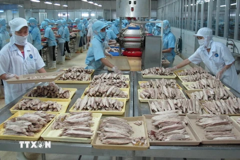 Chế biến cá ngừ đóng hộp tại Công ty KTC Food Kiên Giang. (Ảnh: Phương Vy/TTXVN)
