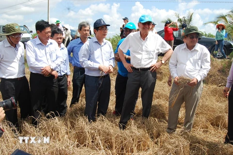 Phó Tổng Thư ký Liên Hợp quốc (thứ 2 từ phải) khảo sát cánh đồng lúa xã Phú Ngãi chết khô vì nước mặn lên sớm. (Ảnh: Văn Trí/TTXVN)