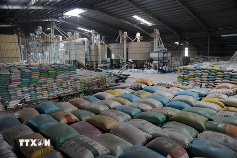 Dây chuyền xay lúa và sấy lúa của Công ty TNHH Một thành viên Xuất nhập khẩu Kiên Giang. (Ảnh: Lê Sen/TTXVN)