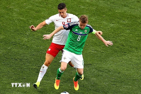 Cầu thủ Robert Lewandowski (trái) đội tuyển Ba Lan tranh bóng quyết liệt với Steven Davis, đội tuyển Bắc Ireland. (Ảnh: EPA/TTXVN)