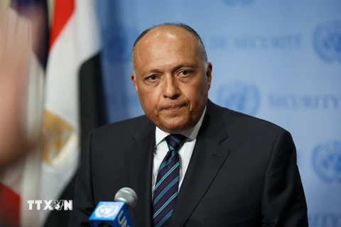 Ngoại trưởng Ai Cập Sameh Shoukry. (Ảnh: THX/TTXVN) 