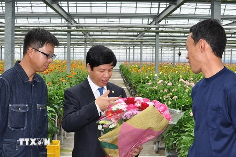 Đại sứ Việt Nam tại Nhật Bản Nguyễn Quốc Cường thăm trang trại trồng hoa ở Nhật Bản. (Ảnh: TTXVN)