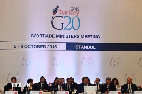 Các Bộ trưởng thương mại G20 tham gia cuộc họp ở Istanbul, Thổ Nhĩ Kỳ ngày 6/10 vừa qua. (Ảnh: THX/TTXVN)
