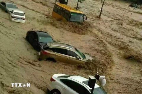 Nước lũ cuốn trôi xe ôtô sau khi bão Nepartak đổ bộ vào thành phố Phúc Châu, gây mưa lớn và ngập lụt ngày 9/7. (Ảnh: AFP/TTXVN)