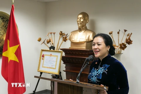 Đại sứ, Trưởng Phái đoàn Việt Nam tại LHQ Nguyễn Phương Nga. (Ảnh: Ảnh: Lê Dương/TTXVN)