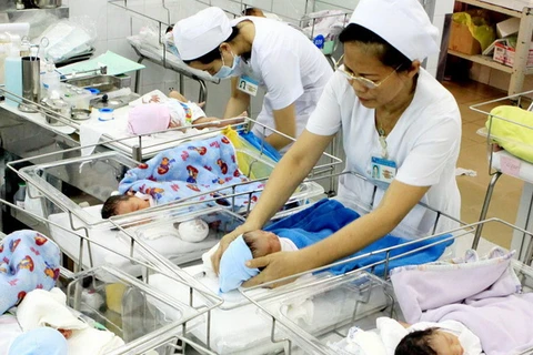 Chăm sóc trẻ sơ sinh tại bệnh viện. (Ảnh: Dương Ngọc/TTXVN)