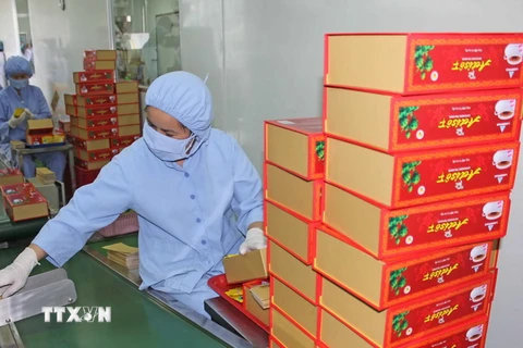 Dây chuyền sản xuất đông dược đông dược quy mô lớn đầu tiên tại khu vực Tây Nguyên. (Ảnh: Hoàng Kha/TTXVN)
