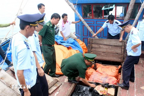 Lực lượng chức năng tiến hành kiểm tra thu giữ tang vật. (Ảnh: Nguyễn Hoàng/TTXVN)