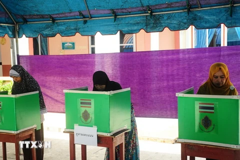 Cử tri Thái Lan tại một điểm bầu cử ở Narathiwat ngày 7/8. (Ảnh: AFP/TTXVN)
