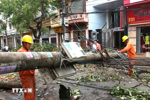 Công nhân Công ty ĐIện lực Nam Định thuộc Tổng công ty Điện lực miền Bắc khắc phục các sự cố về điện do cơn bão số 1 gây ra. (Ảnh: Ngọc Hà/TTXVN)