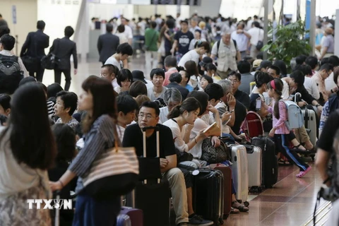 Hành khách chờ các chuyến bay hoạt động trở lại tại sân bay Haneda ở Tokyo ngày 22/8. (Ảnh: EPA/TTXVN)