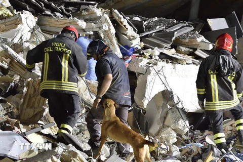 Lực lượng cứu hộ tìm kiếm nạn nhân động đất tại Amatrice, Italy ngày 25/8. (Ảnh: EPA/TTXVN)