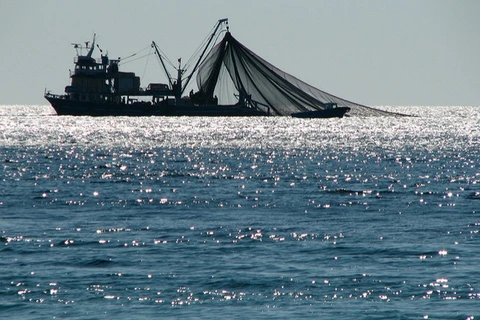 Bộ Ngư nghiệp Myanmar cấm đánh bắt cá ở một số đảo ở miền Nam