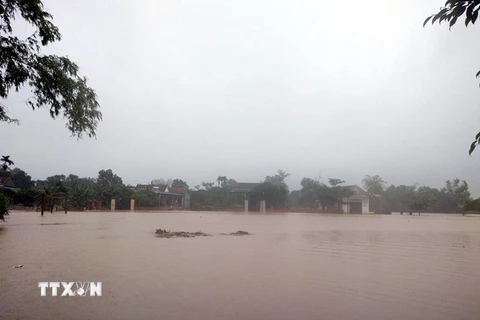 Mưa to kèm theo xả lũ đã làm ngập lụt ở xã Cẩm Duệ, huyện Cẩm Xuyên, tỉnh Hà Tĩnh. (Ảnh: TTXVN phát)