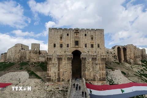 Thành cổ ở Aleppo - một lâu đài rộng và kiên cố có từ thời trung cổ nằm ở vị trí trung tâm thành phố cổ Aleppo ngày 19/1/2012. (Ảnh: THX/TTXVN)