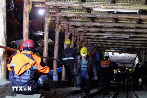 Lực lượng cứu hộ tại hiện trường vụ sập mỏ ngày 28/10/2014. (Ảnh: THX/TTXVN)