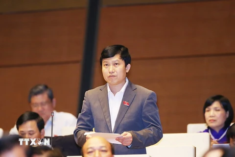 Đại biểu Quốc hội tỉnh Tiền Giang Lê Quang Trí phát biểu ý kiến. (Ảnh: Nguyễn Dân/TTXVN)