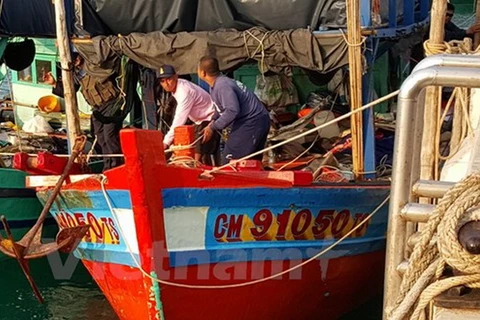 Cảnh sát Thái Lan bắt giữ một tàu cá Việt Nam hồi tháng Tư vừa qua. (Ảnh: Vietnam+)