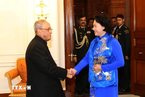 Chủ tịch Quốc hội Nguyễn Thị Kim Ngân hội kiến Tổng thống Ấn Độ Pranab Mukherjee. (Ảnh: Trọng Đức/TTXVN) 