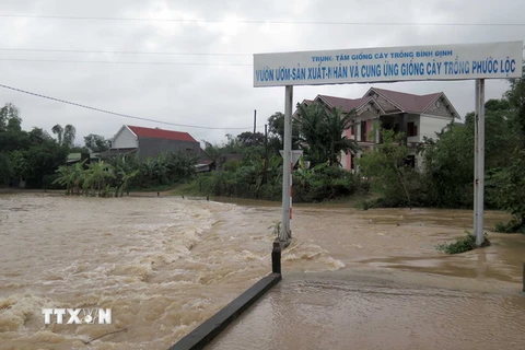Nước lũ lên, nhiều khu dân cư ở Bình Định tiếp tục bị nước lũ uy hiếp. (Ảnh: Viết Ý/TTXVN)