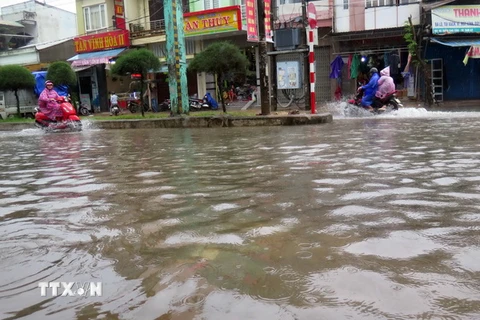 Mưa lớn làm ngập lụt trên đường Trần Cao Vân, thành phố Tam Kỳ. (nh: Đỗ Trưởng/TTXVN)