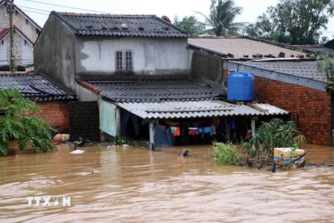 Hàng trăm nhà dân tại xã Hoài Hải, huyện Hoài Nhơn, tỉnh Bình Định bị nước lũ nhấn chìm, cô lập - ảnh chụp chiều 16/12. (Ảnh: Trần Lê Lâm/TTXVN)