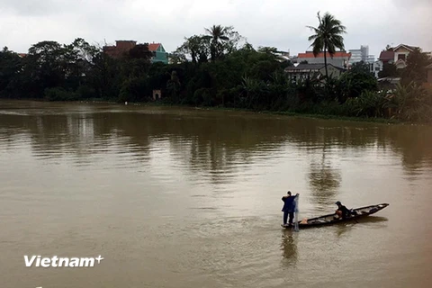 Thả lưới trên sông Như Ý, trong khi nước lũ đang cao, bất chấp nguy hiểm. (Ảnh: Quốc Việt/Vietnam+)