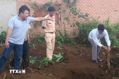 Hiện trường khai quật thi hài đôi vợ chồng xấu Bình-Hạnh ở tổ 15, thị trấn Lộc Thắng, huyện Bảo Lâm, Lâm Đồng. (Ảnh: Nguyễn Dũng/TTXVN)