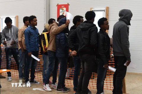 Người di cư chờ đăng ký tị nạn tại Erding, gần Munich, miền nam Đức ngày 15/11 vừa qua. (Ảnh: AFP/TTXVN)
