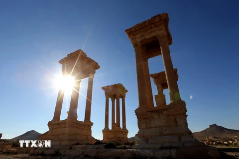 Một góc thành phố cổ Palmyra ngày 31/3/2016. (Ảnh: AFP/TTXVN)
