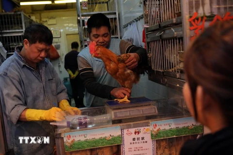 Khách hàng mua gà sống tại một cửa hàng ở quận Wan Chai, Hong Kong. (Ảnh: AFP/TTXVN)