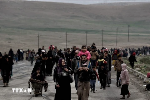 Người dân Iraq sơ tán khỏi Mosul ngày 3/3, trong khi quân đội Chính phủ mở chiến dịch quân sự giành lại khu vực phía tây thành phố này từ tay IS. (Ảnh: AFP/TTXVN)