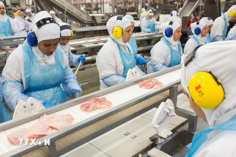 Dây chuyền chế biến thịt ở Lapa, bang Parana, Brazil ngày 21/3 vừa qua. (Ảnh: AFP/TTXVN)