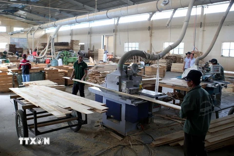Chế biến gỗ tại Công ty TNHH Khai thác, Chế biến lâm sản Đà Lạt. (Ảnh: Vũ Sinh/TTXVN)