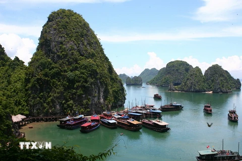 Vịnh Hạ Long là một trong 10 điểm du lịch đẹp nhất hành tinh năm 2015. (Ảnh: Huy Hùng/TTXVN)