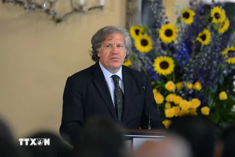 Tổng thư ký OAS Luis Almagro. (Ảnh: AFP/TTXVN)