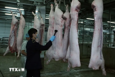 Nhân viên Chi cục Thú y đóng dấu kiểm dịch lên sản phẩm thịt lợn. (Ảnh: Vũ Sinh/TTXVN)