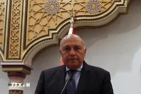 Ngoại trưởng Ai Cập Sameh Shoukry. (Ảnh: EPA/TTXVN)